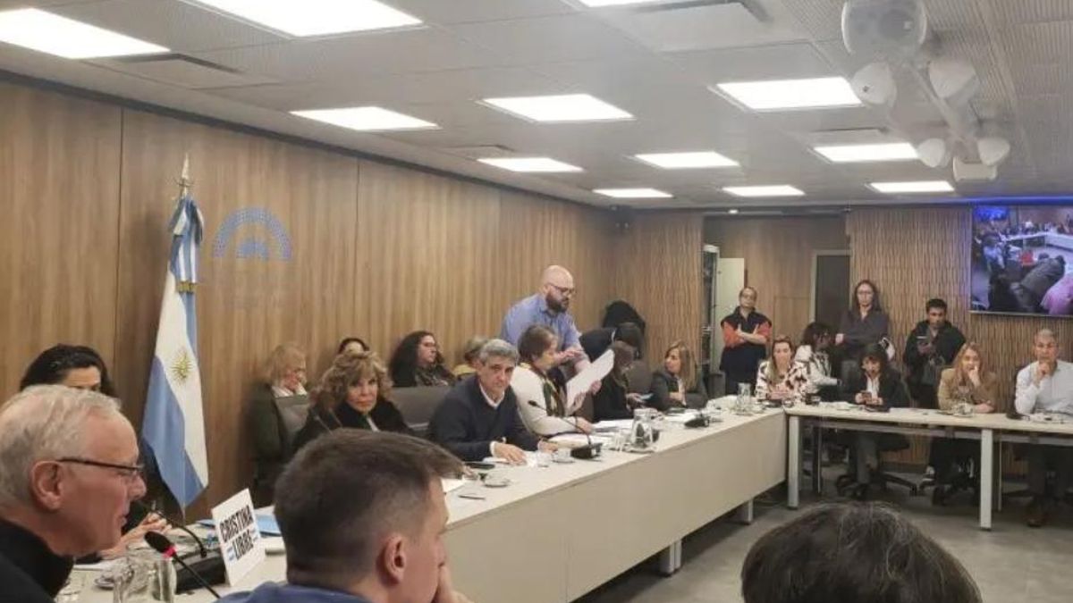 La Comisión de Salud de Diputados retomó este martes su actividad con un llamado urgente a garantizar el quórum para tratar temas clave.