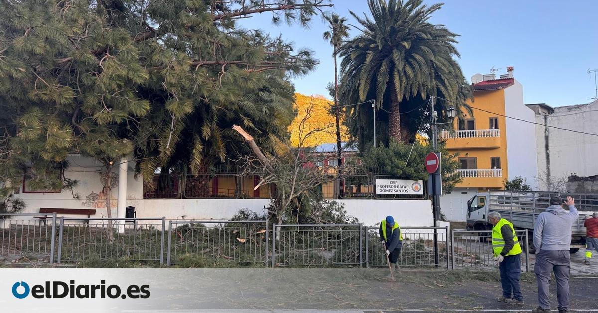 Las clases presenciales se reanudarán el lunes en Canarias tras el paso de la borrasca Therese
