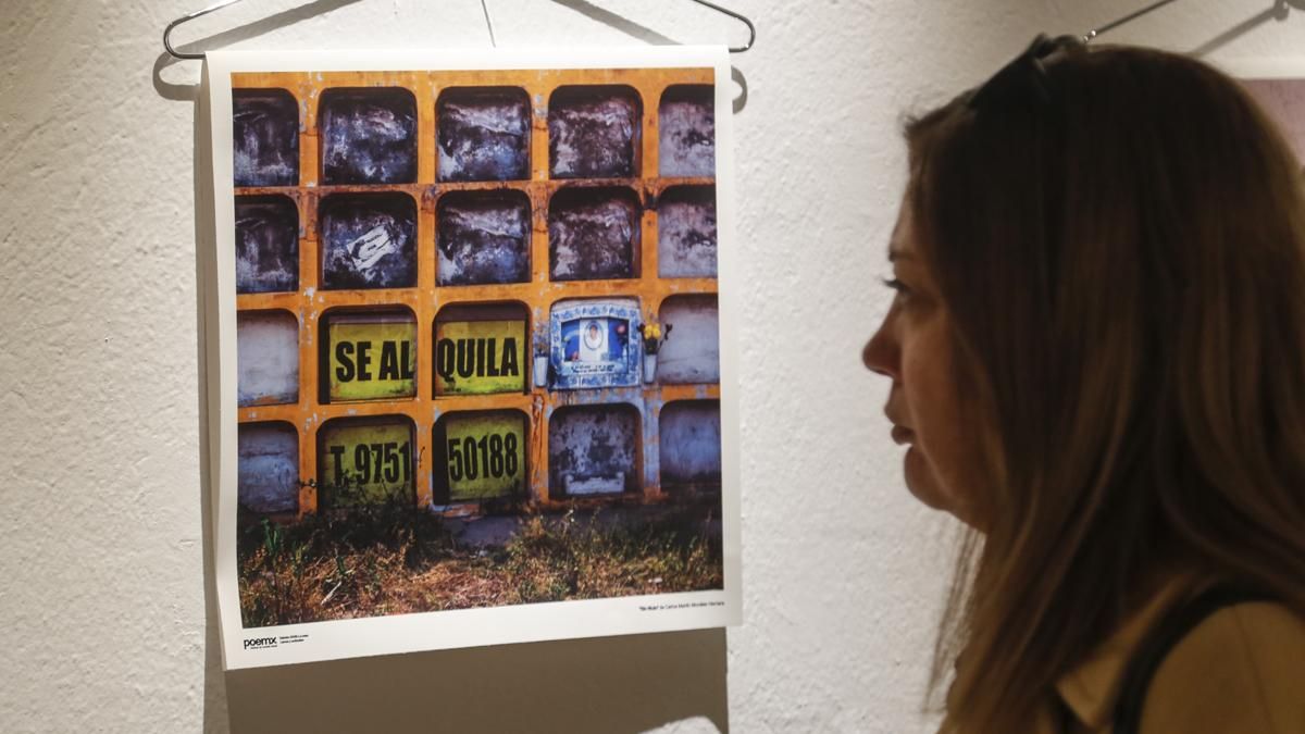 Córdoba se convierte en una auténtica galería urbana con la inauguración de Poemx 2025