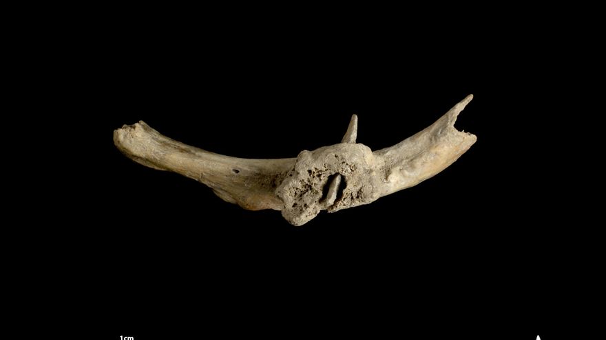 Hallan una flecha clavada en una costilla humana de hace más de 4.000 años en un sepulcro prehistórico de los Pirineos