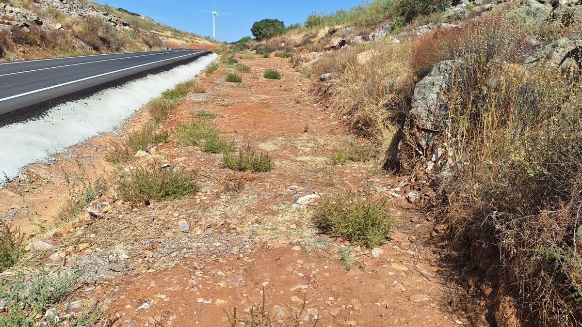 Critican el deterioro de la Vía Verde de Moral de Calatrava: “Falta total de mantenimiento”
