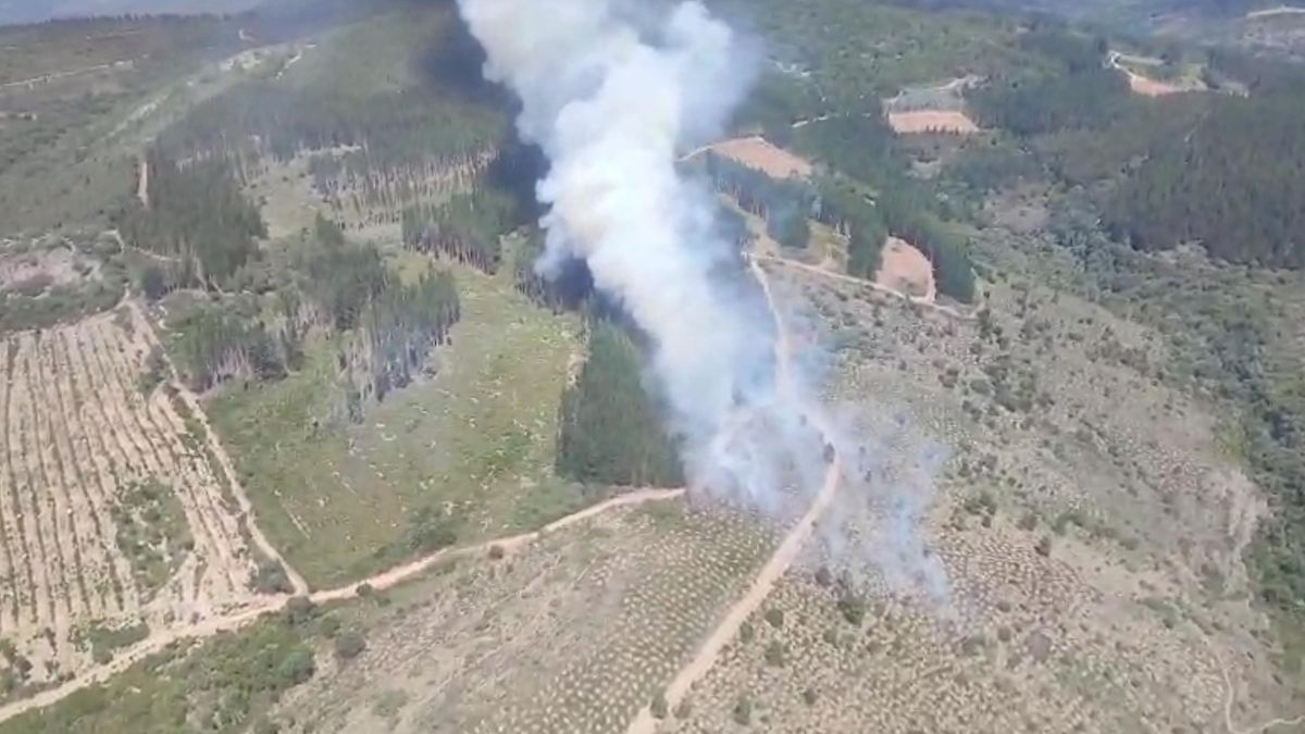 Efectivos luchan contra el fuego en dos incendios desatados este viernes en El Bierzo y Secarejo