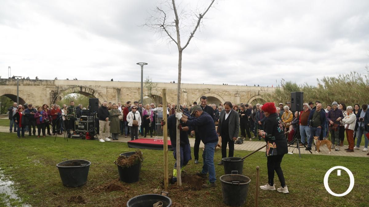 La plantación de un árbol en memoria de Pepe Larios, en imágenes