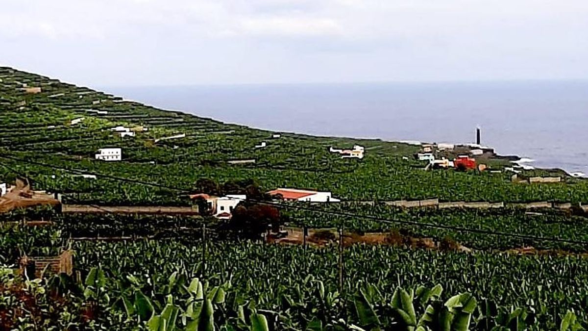 Zona de Oropesa.