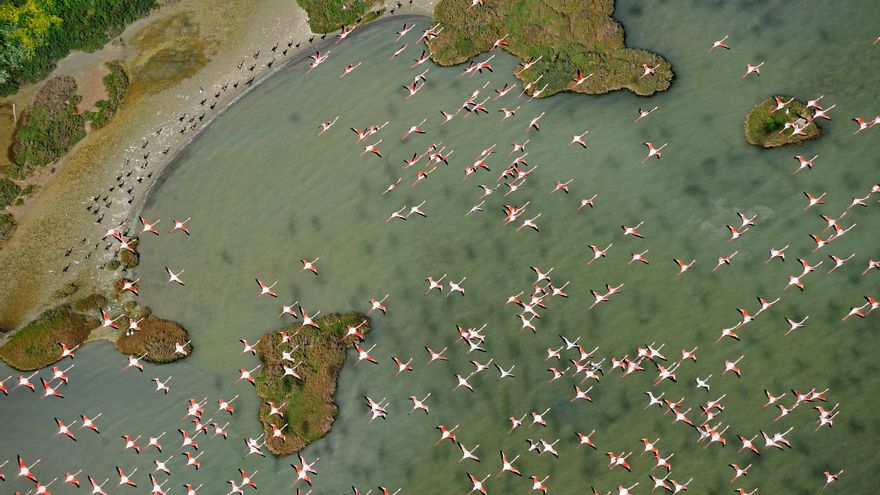 Doñana, bajo la amenaza de quedarse sin agua