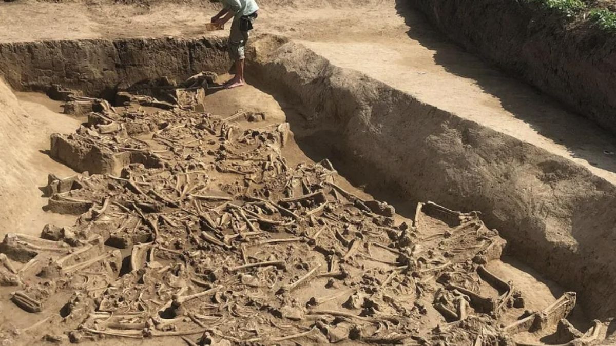 ¿Fue realmente una masacre? Los 77 esqueletos decapitados en una fosa común encontrados apuntan a otra posibilidad