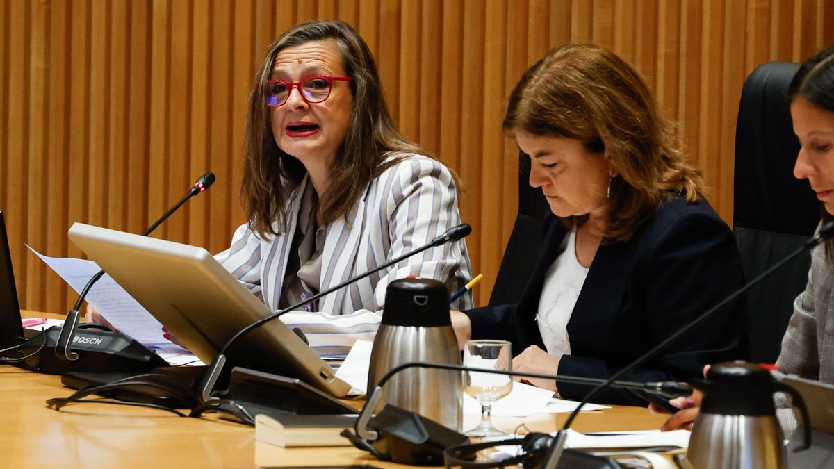 La delegada contra la Violencia de Género, sobre las pulseras antimaltrato: "Las mujeres siempre han estado protegidas"