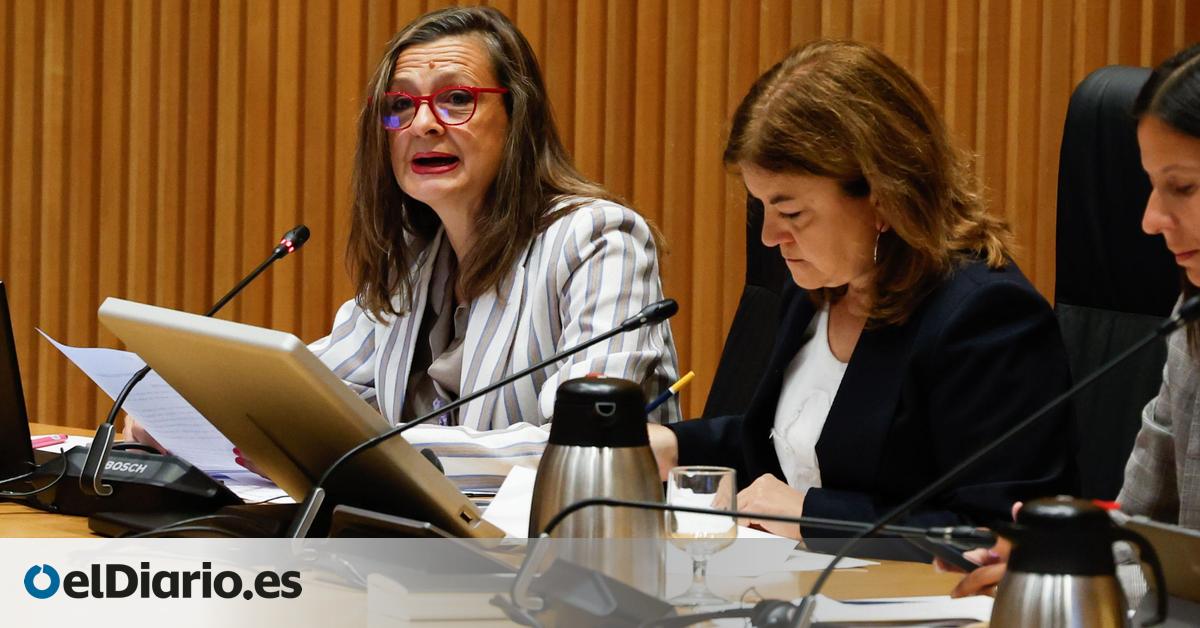 La delegada contra la Violencia de Género, sobre las pulseras antimaltrato: “Las mujeres siempre han estado protegidas”