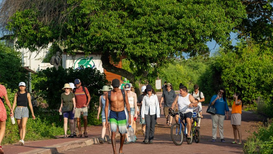 Galápagos aportó más de 509 millones de dólares a Ecuador entre 2014 y 2018, según estudio