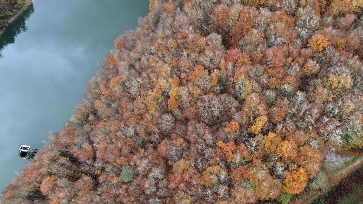 Vista aérea de las inmediaciones del pantano de Irabia en Irati.