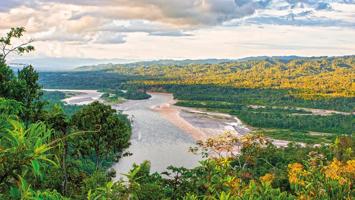 Un equipo ecuatoriano entra en un rincón aislado de la Amazonía y sale con 118 especies de peces que nadie había descrito hasta ahora