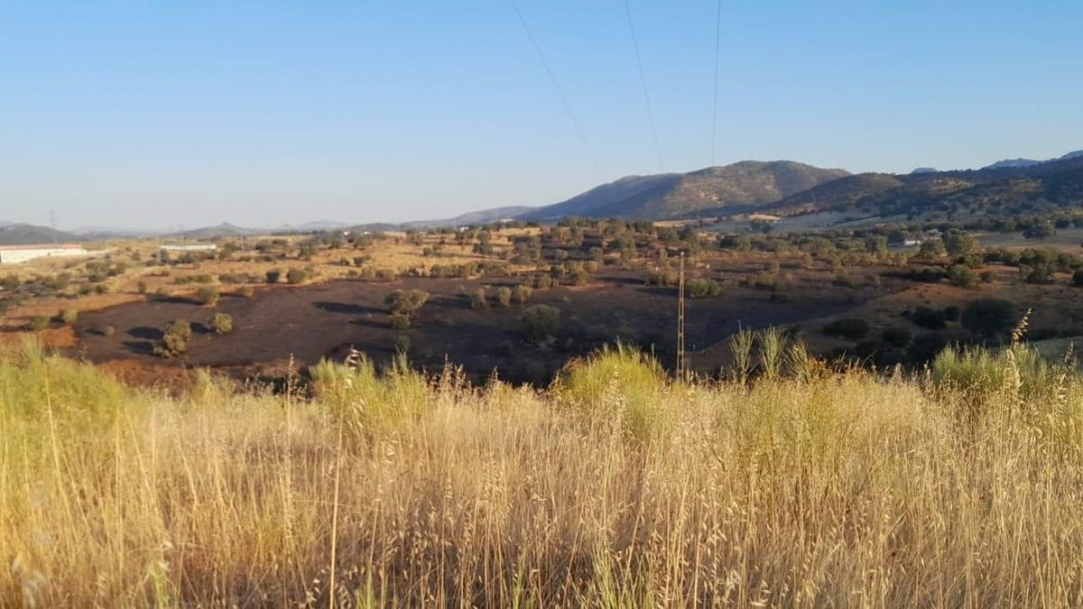 El Infoca apaga un incendio declarado de noche en Espiel