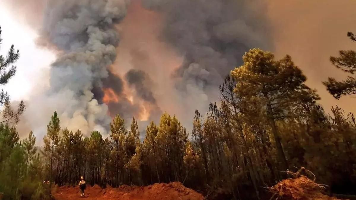 La Audiencia Provincial de Cáceres condena a dos años de prisión el autor de siete incendios forestales, aunque evitará entrar en la cárcel