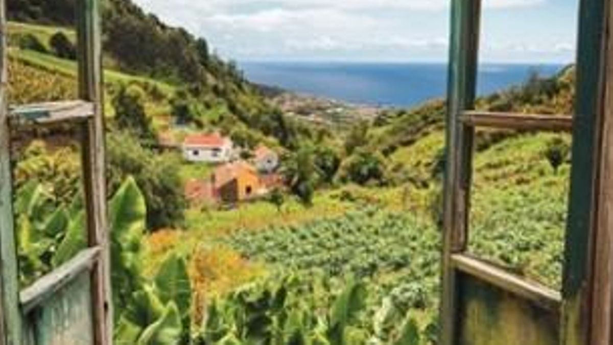 Imagen del cartel  del seminario 'Crea tu cooperativa'.