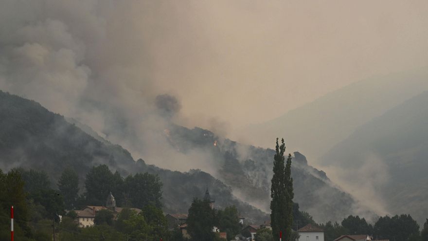 Los grandes incendios llegan a los hayedos: una investigación alerta del riesgo para los bosques europeos
