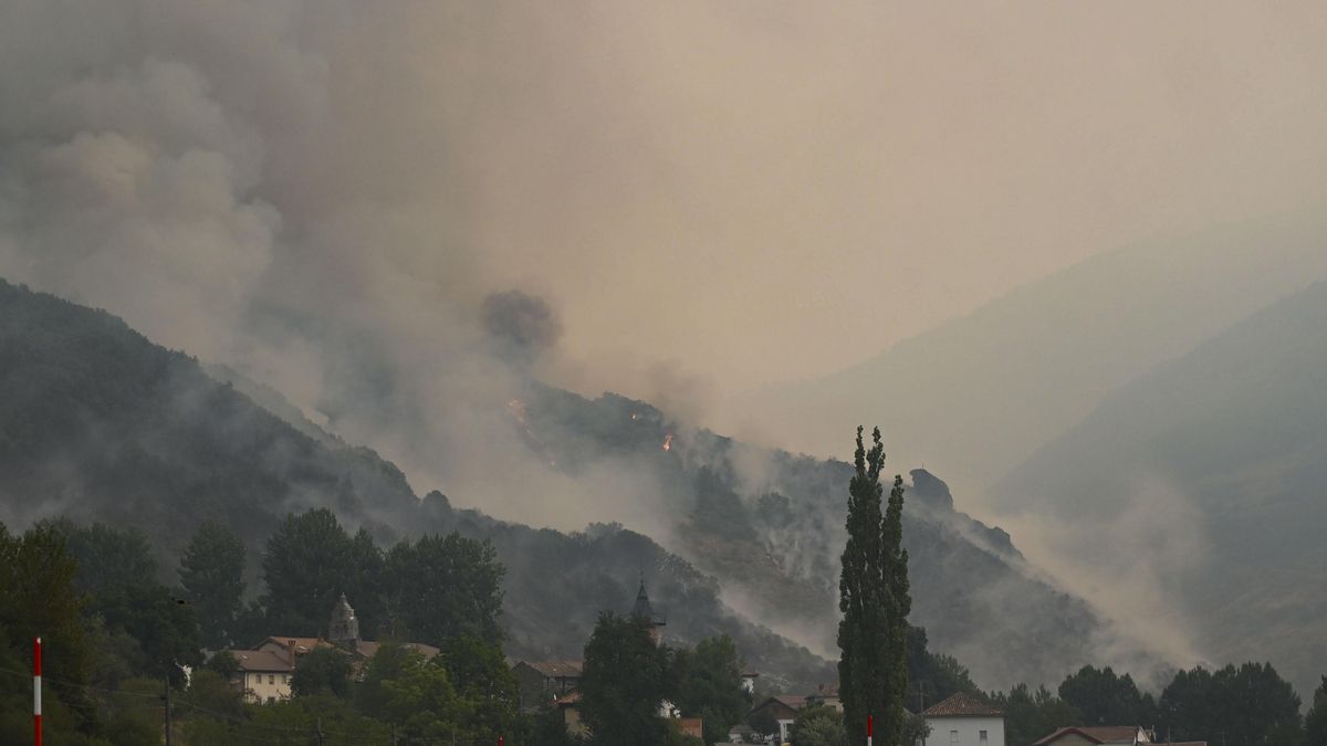 Los grandes incendios llegan a los hayedos: una investigación alerta del riesgo para los bosques europeos