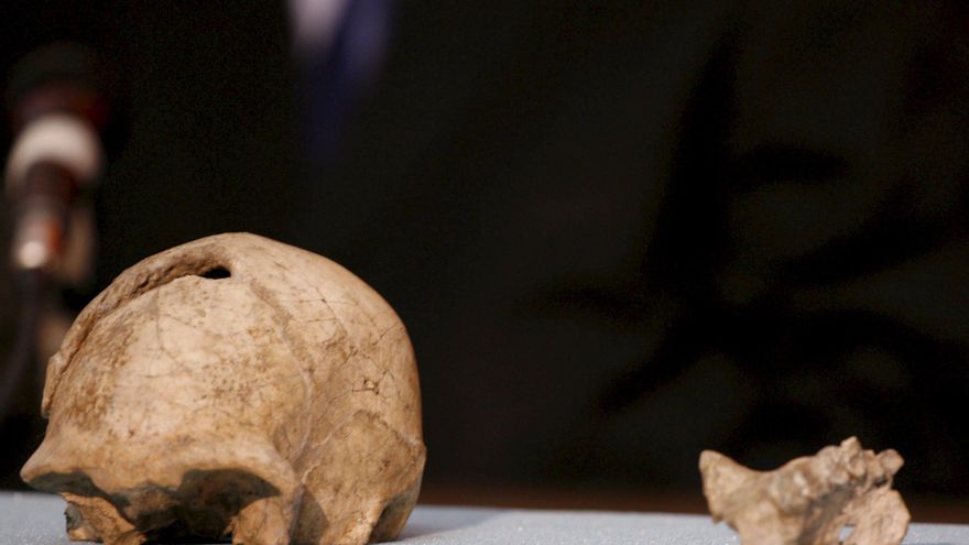 Una recreación virtual de fósiles revela una cara más primitiva de Homo erectus en Etiopía
