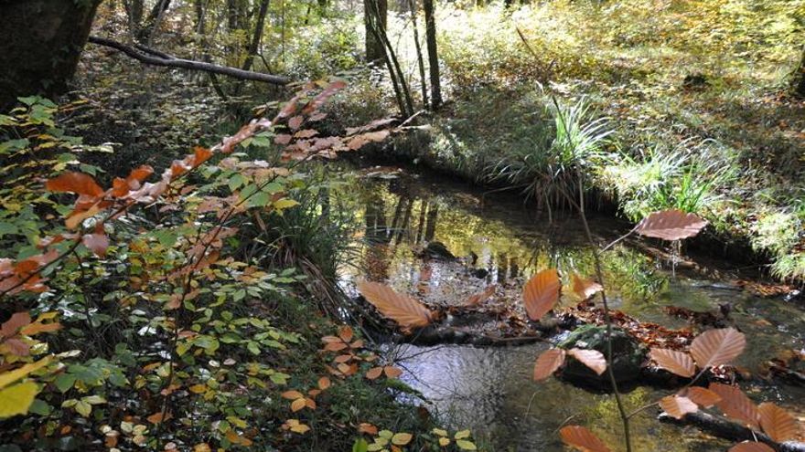 Euskadi desconoce las causas y el origen del 30% de los vertidos ilegales a los ríos y deja sin sancionar el 67%