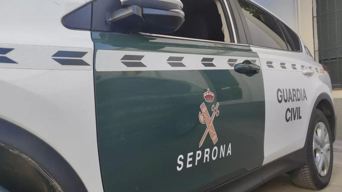 La Guardia Civil detiene a una mujer por dejar suelto y sin vigilancia a un perro que mató a otro en Gran Canaria