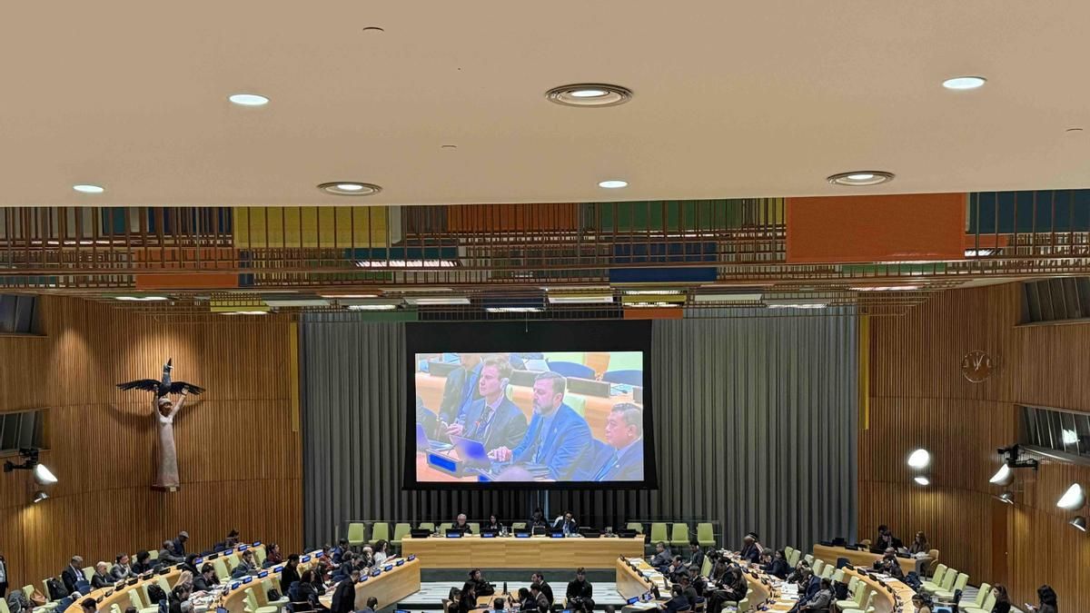 Cuarenta países se reúnen en Naciones Unidas para defender el derecho internacional frente a la "impunidad" del genocidio israelí en Palestina