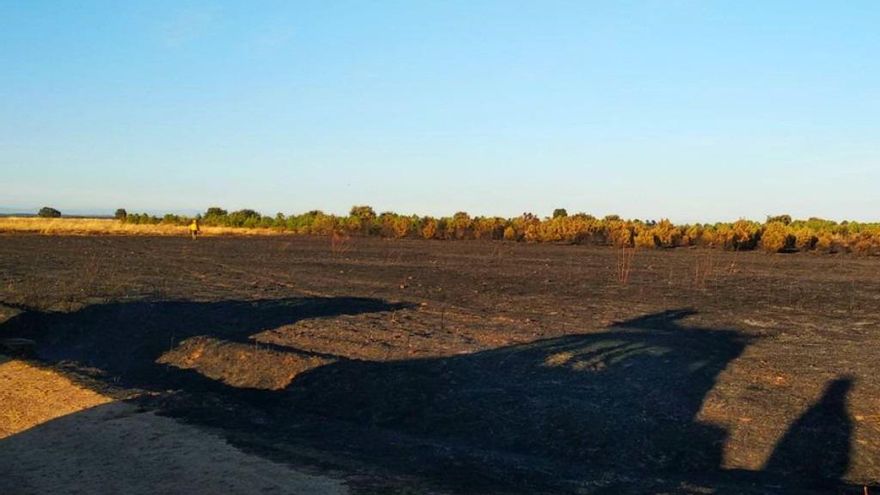 Estado en el que quedó el terreno tras el incendio de hoy en Palacios de Jamuz. / Foto @Apamcyl