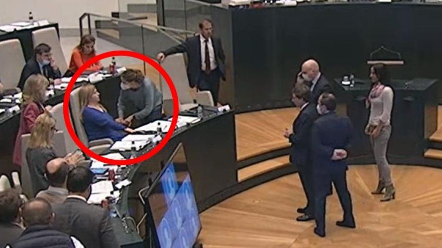 El desmayo que suspendió un pleno del Ayuntamiento de Madrid y la ayuda de una madre reivindicativa