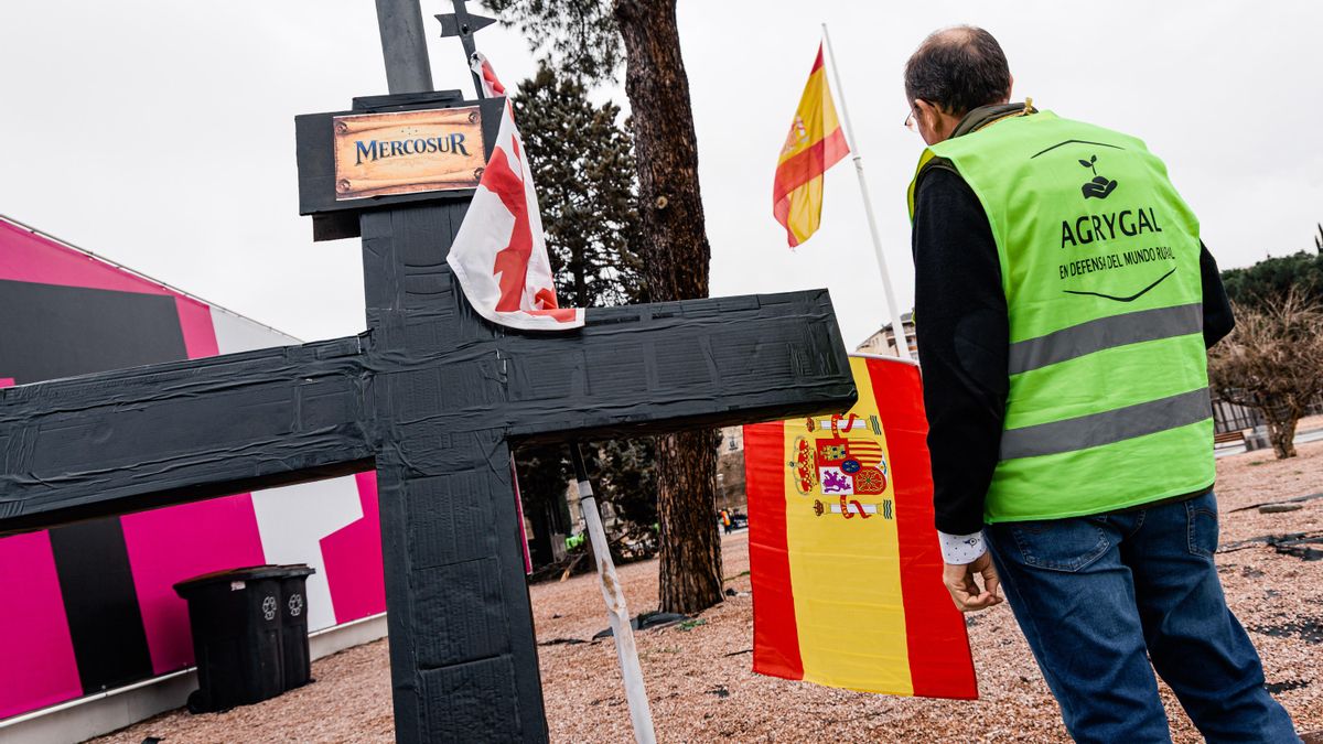 Protesta de agricultores y ganaderos en Madrid.