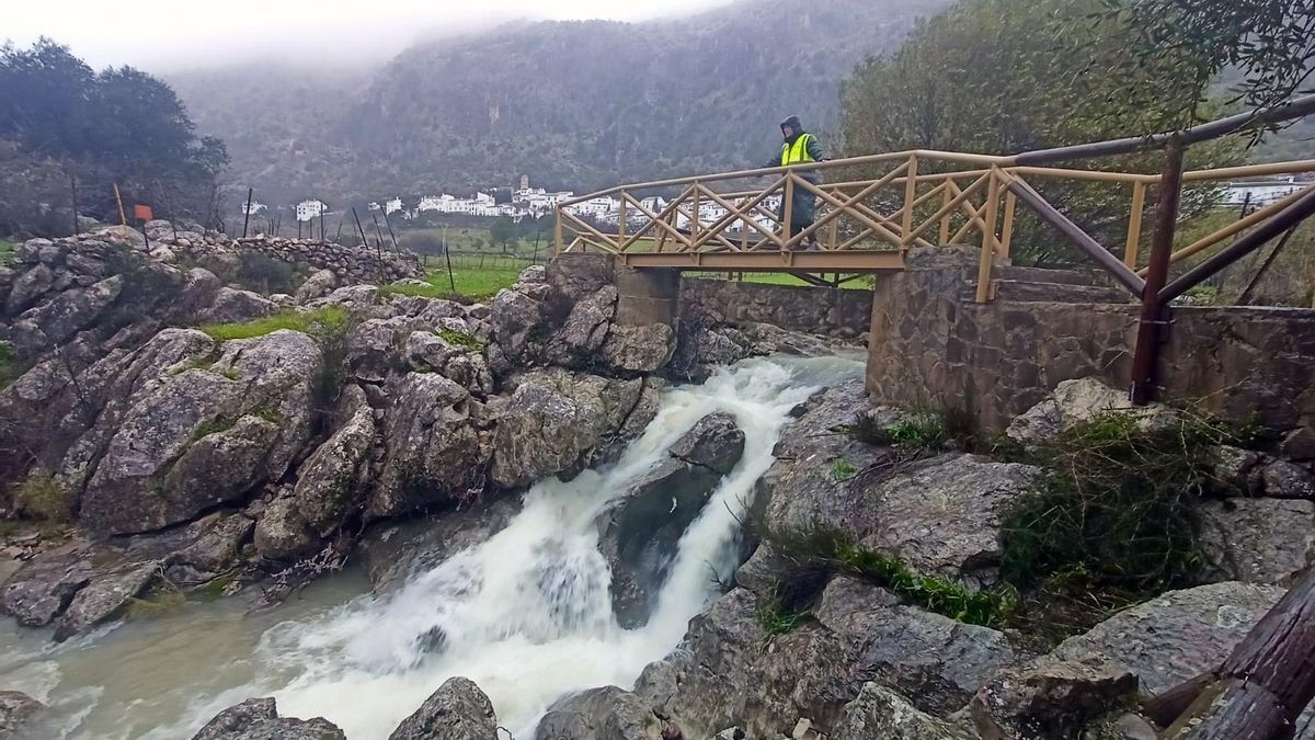 Ciencia que salva vidas