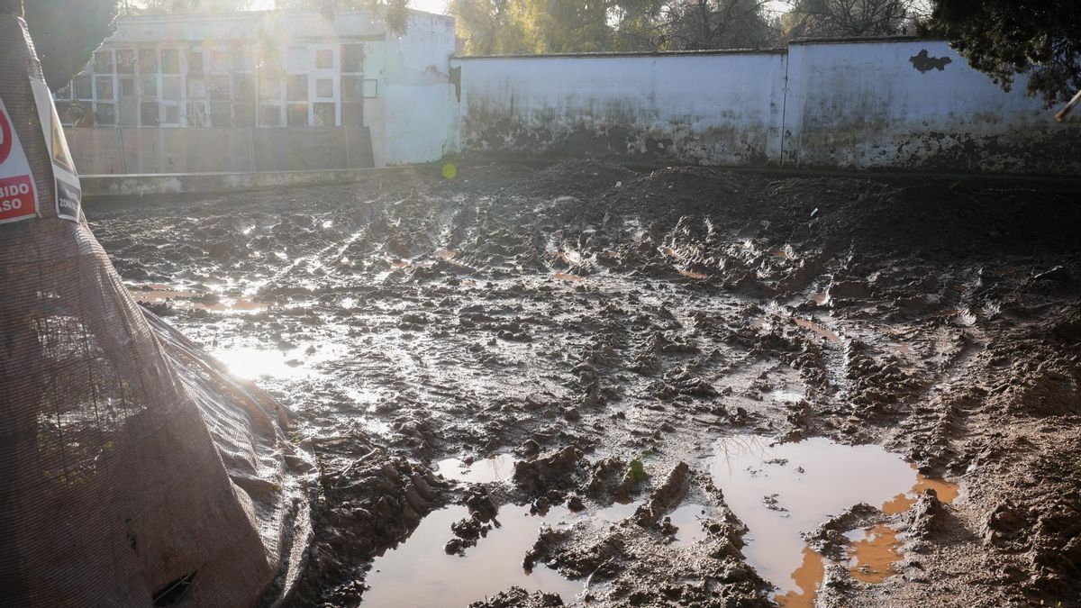 El PSOE critica que las fosas del Cementerio la Salud son un "lodazal" y pide al Ayuntamiento protección