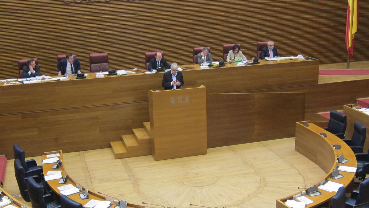 El PP rechaza en las Cortes Valencianas pedir al Gobierno revocar el indulto al 'kamikaze' que mató a un joven en Poliny