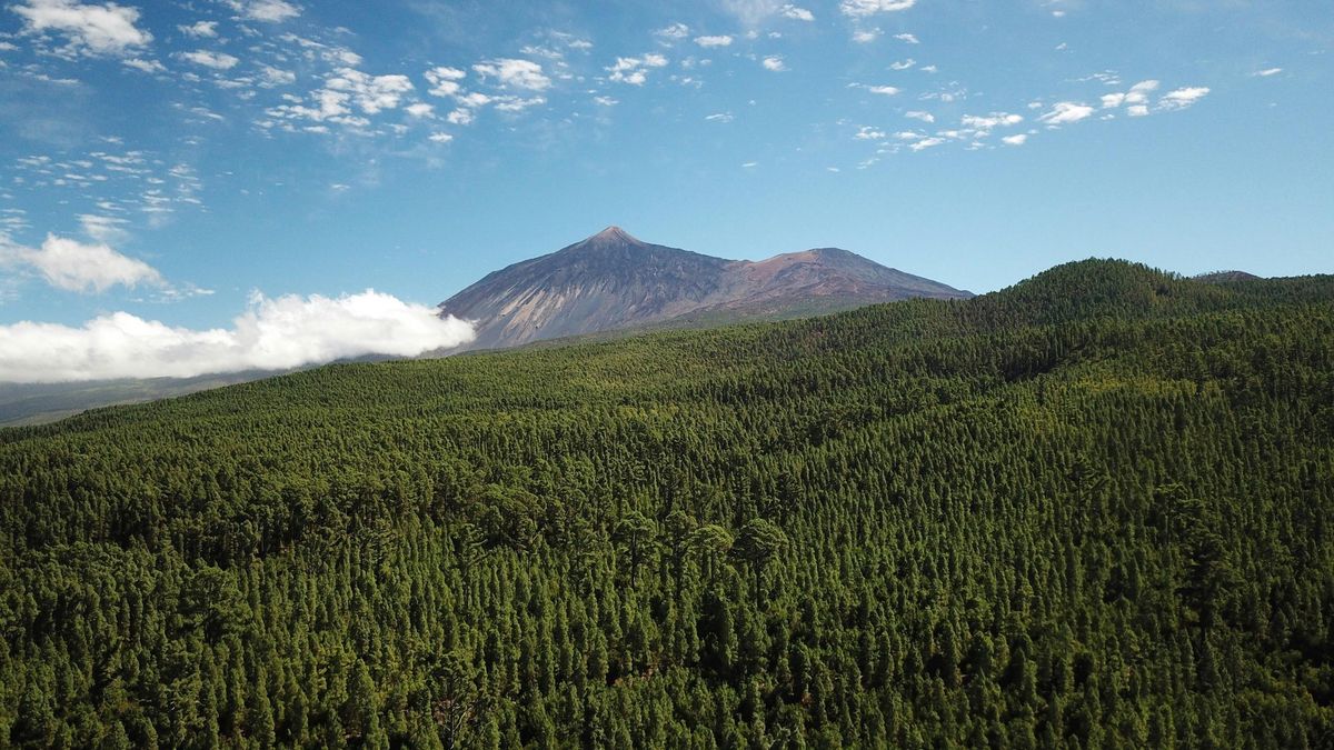 Paisaje con el Teide al fondo