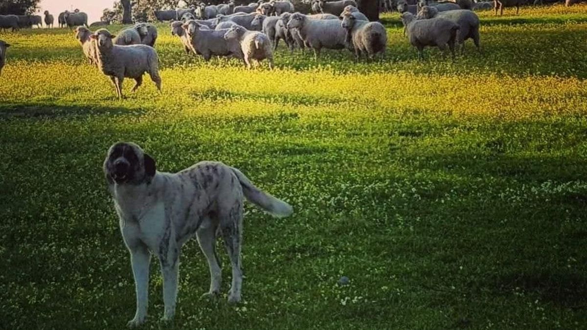 Nueva perspectiva sobre la relación entre lo urbano y lo rural