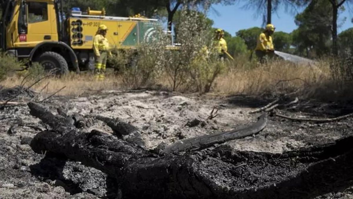 La lucha contra el fuego movilizó a más de 700 efectivos.
