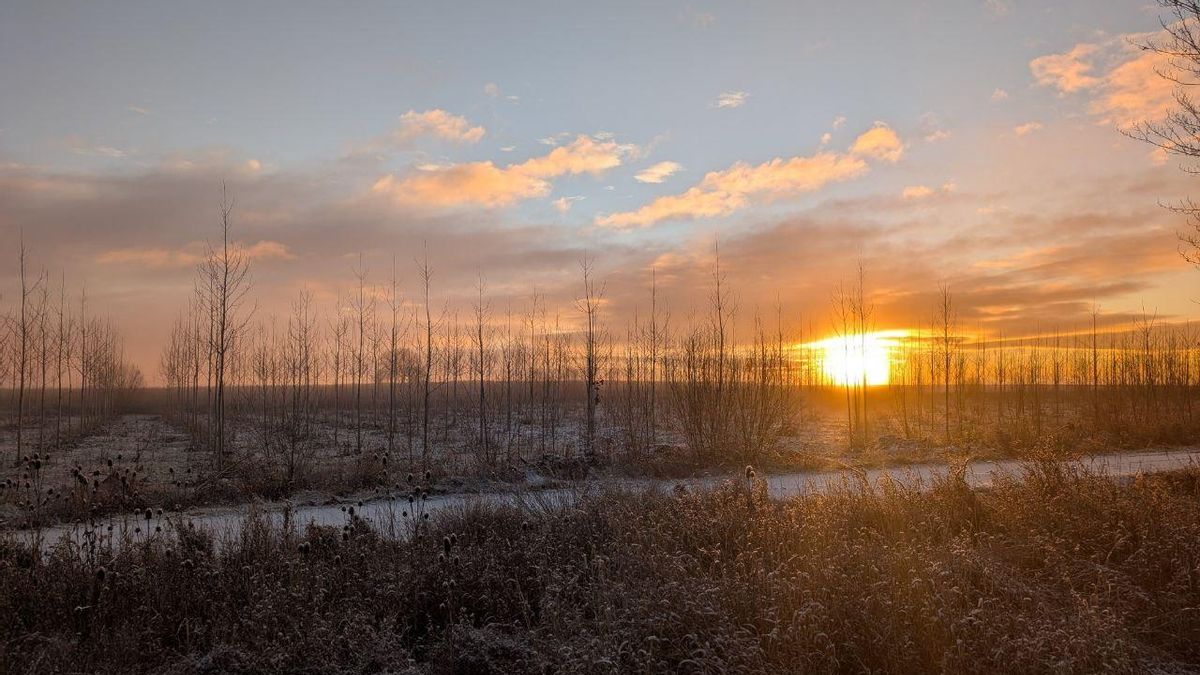 Nieve en el Páramo.