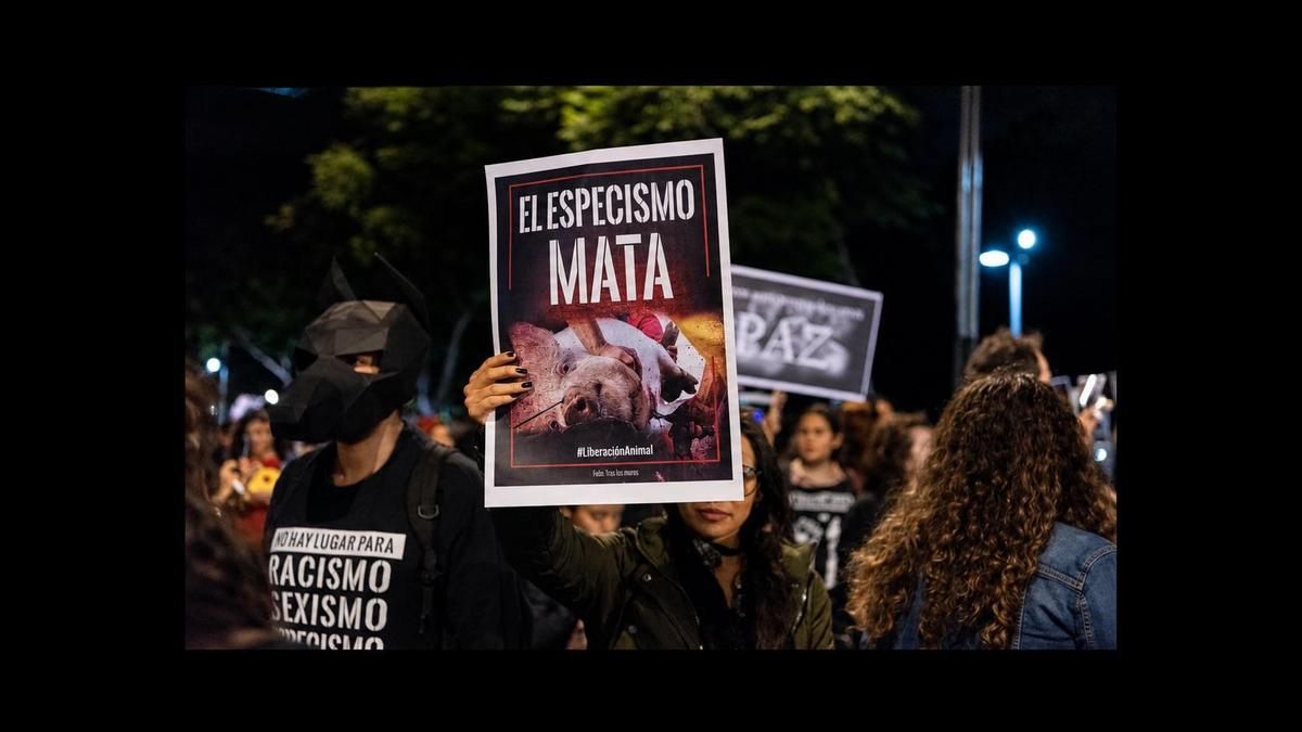 1N, manifestación antiespecista: liberación animal es justicia social