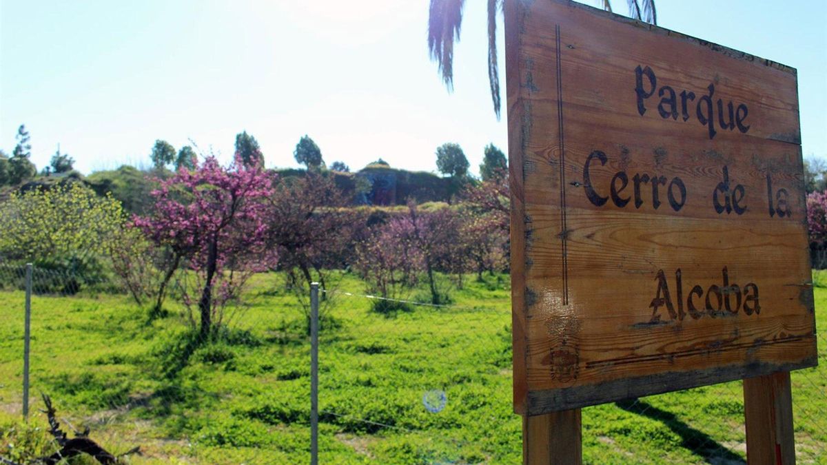 La Campiña Sur avanza en el PAI 'Conecta Campiña Sur' con 4,3 millones en operaciones avanzadas ya aprobadas