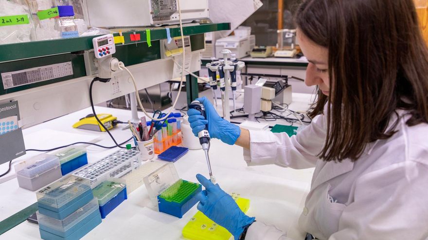 El Centro de Investigación del Cáncer: un cuarto de siglo combatiendo las enfermedades oncológicas desde Salamanca