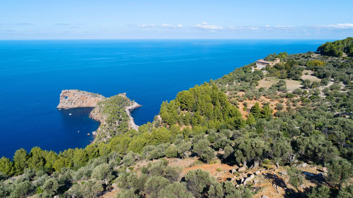 Vistes des de la Serra de Tramuntana