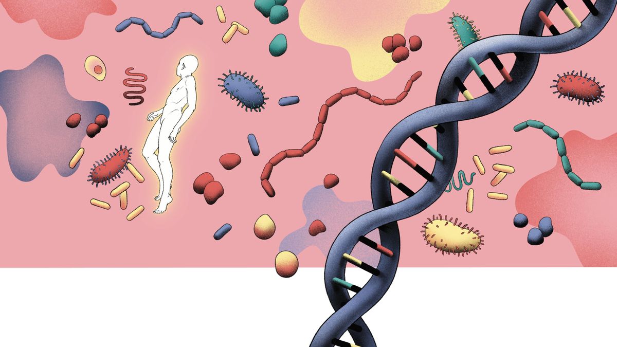 El laboratorio de la longevidad: diccionario para entender los tratamientos que pretenden alargar nuestras vidas