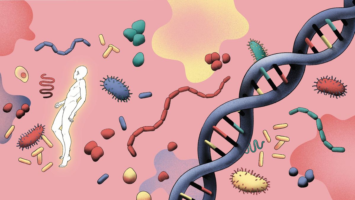 El laboratorio de la longevidad