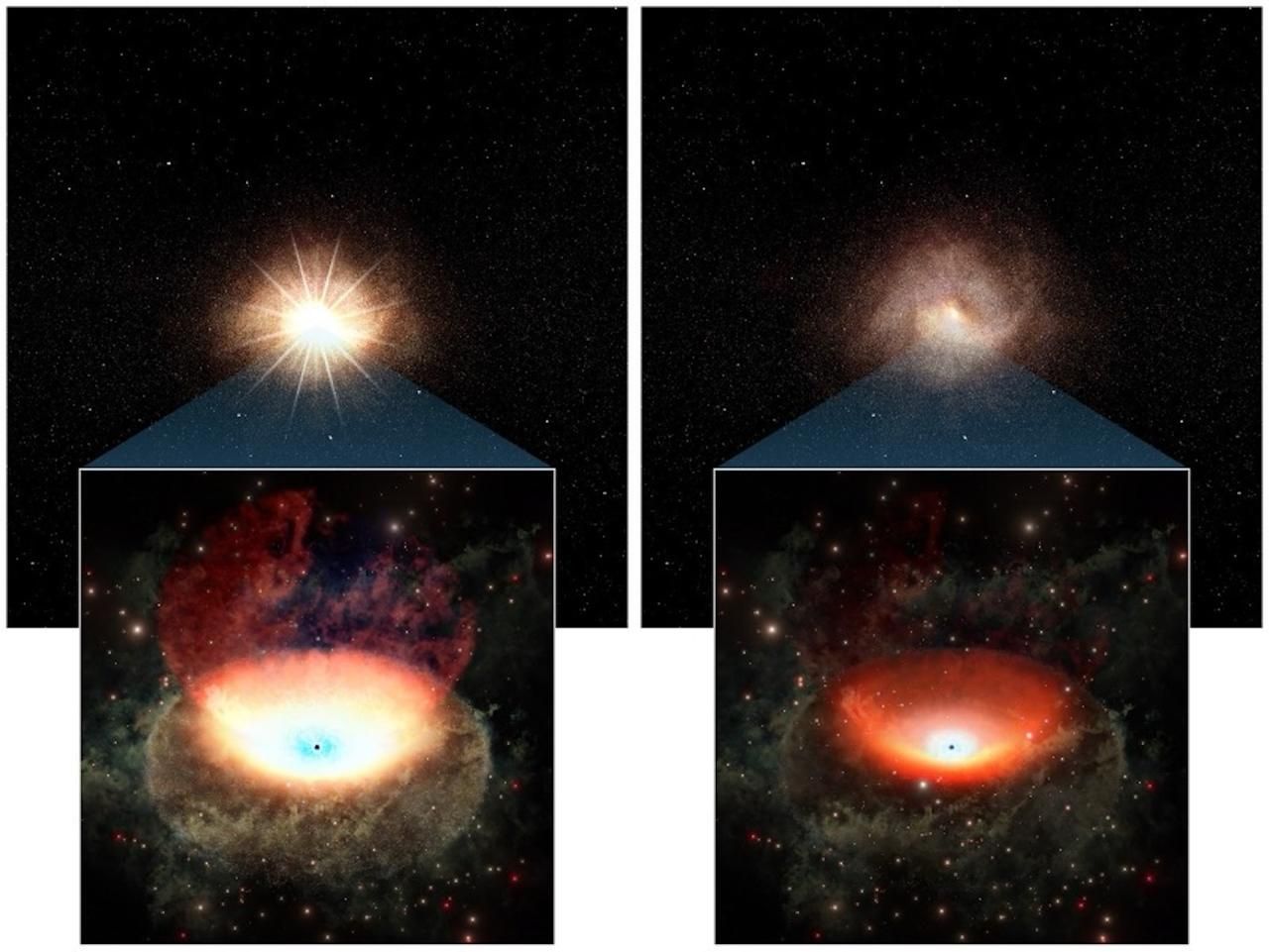 Ilustración conceptual en la que se comparan las fases brillante (izquierda) y tenue (derecha) de un agujero negro supermasivo. Los paneles superiores muestran la galaxia anfitriona con un núcleo activo (AGN, por sus siglas en inglés) en el centro; los paneles inferiores amplían la región central alrededor del agujero negro supermasivo. En la fase brillante, el disco de acreción (región azul pálida) y el toro de polvo circundante son luminosos, mientras que la reducción del flujo de gas hacia el agujero negro provoca un oscurecimiento general.