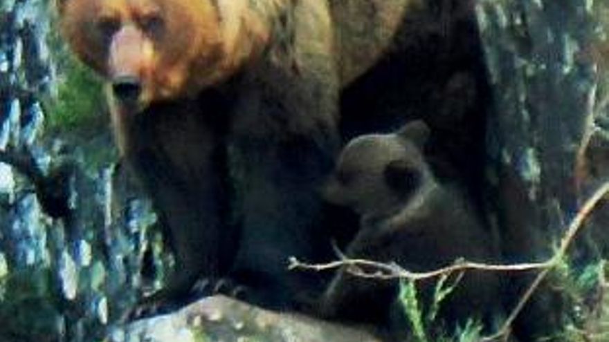 Imagen de Jesús Arias.