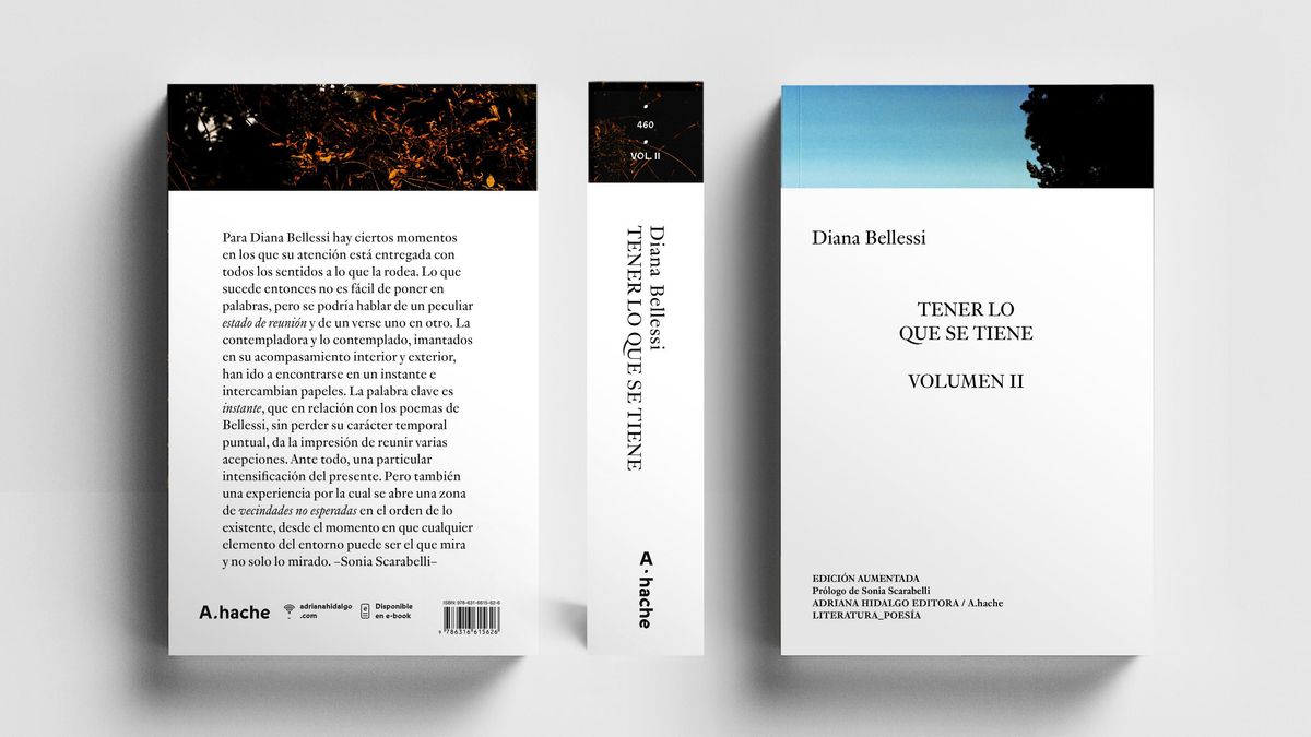 Tener lo que se tiene. Volumen II, de Diana Bellesi.