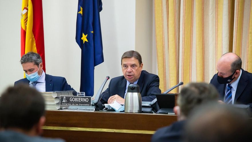 Luis Planas durante su comparencia