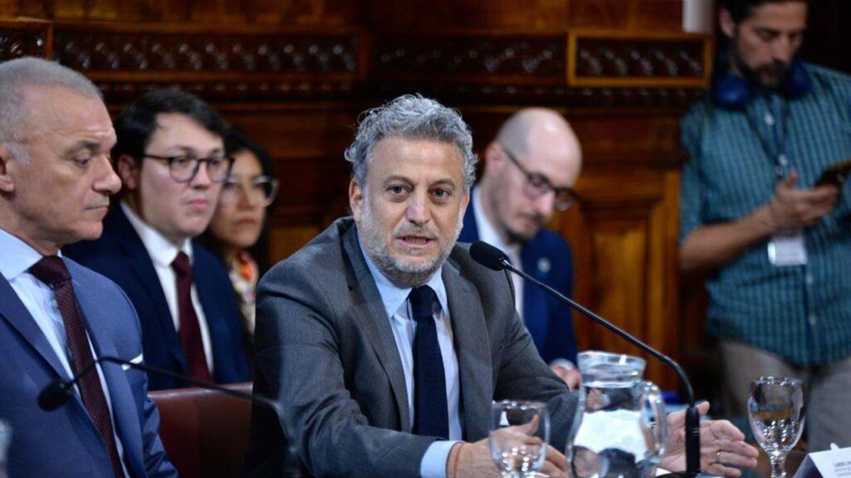 Leandro Cahn al hablar ante la Comisión de Salud del Senado