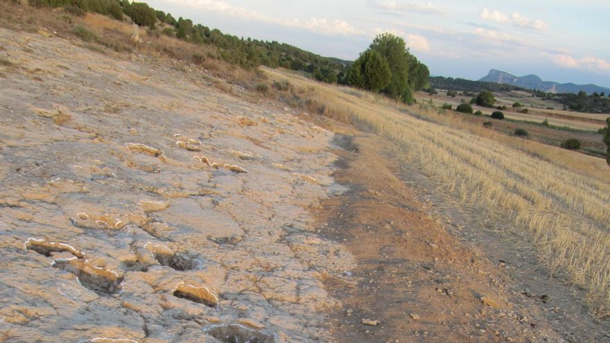 Las huellas identificadas.