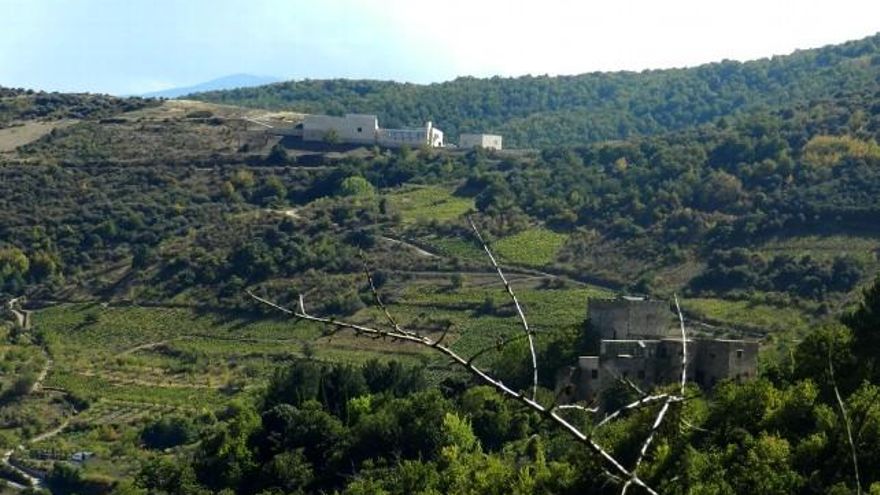 La nueva bodega de Descendientes de J. Palacios en Corullón, diseñada por Rafael Moneo.