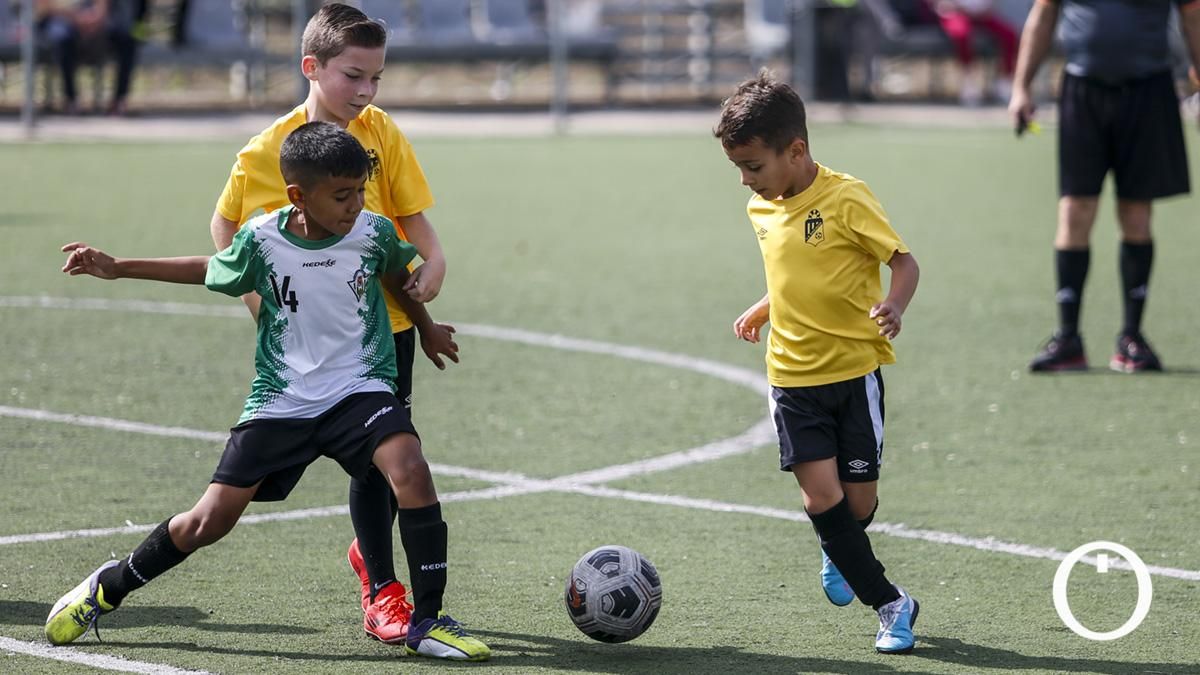 Torneo Benéfico de fútbol base