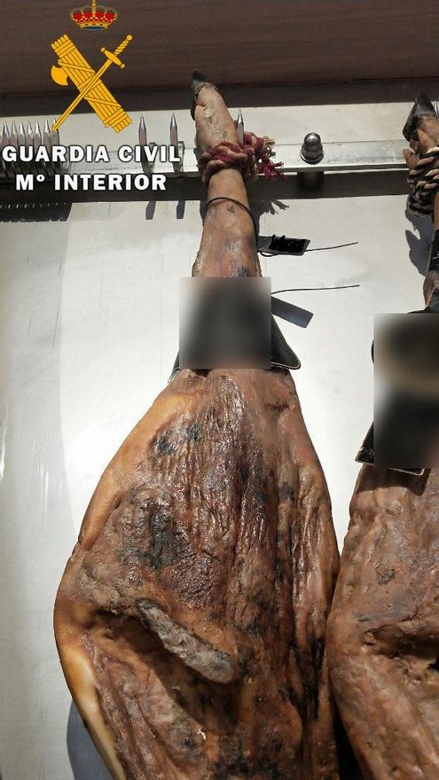 Jamones de la sociedad investigada por la Guardia Civil