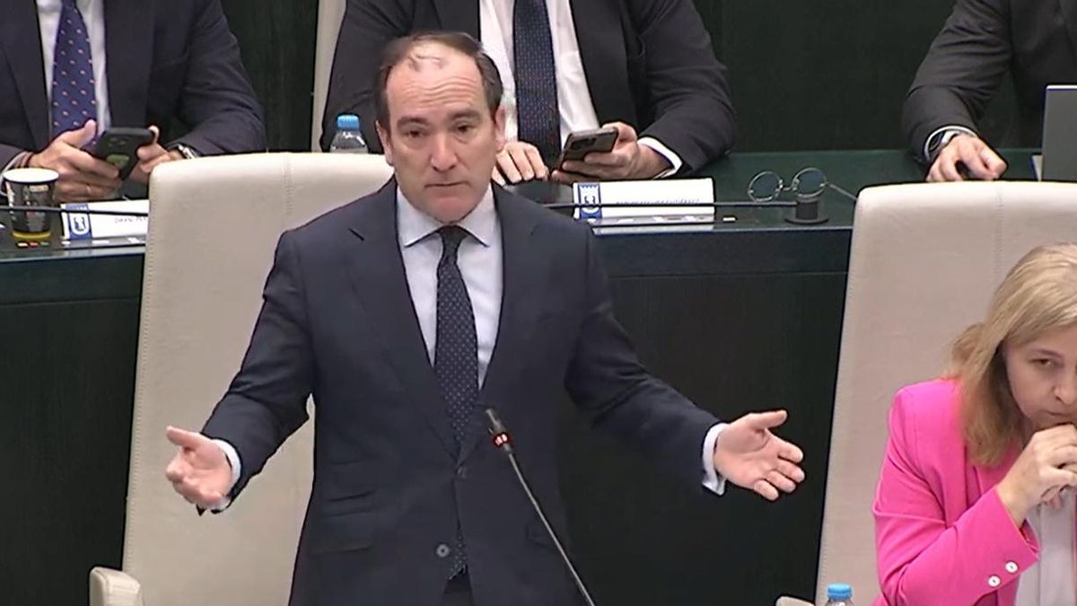 El PP vota "por error" contra una propuesta que pedía "democracia real" y "elecciones libres" en Venezuela